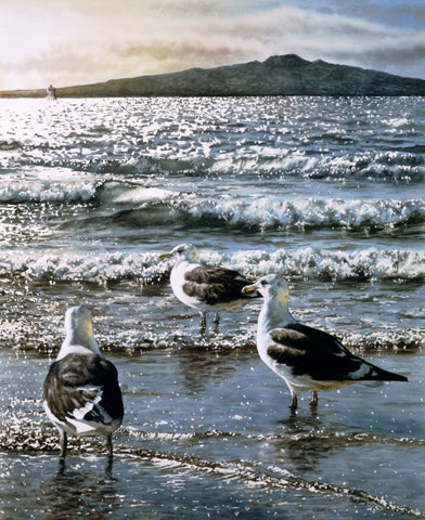 "Rangitoto & Gulls" - Paul Coney