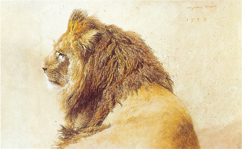 "Lion" - Raymond Ching