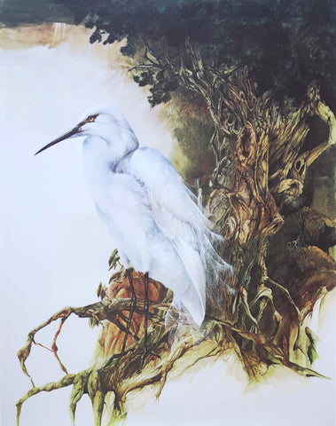 "White Heron" - Bruce Harvey