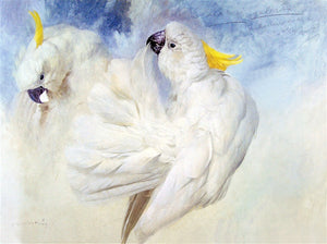 "Sulphur-Crested Cockatoos" - Raymond Ching