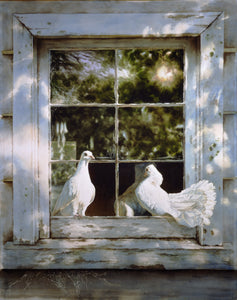 "Through a Window" - Paul Coney
